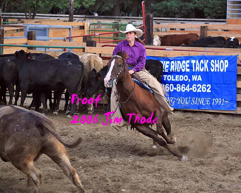 IMG_1365a.jpg