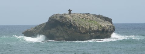 Gingerbread Man at Laie