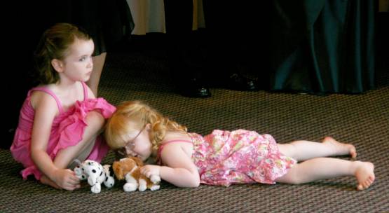 Playing Puppies
