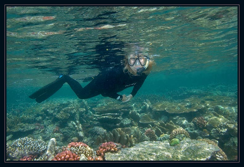 Snorkel break after the first Manta Dive