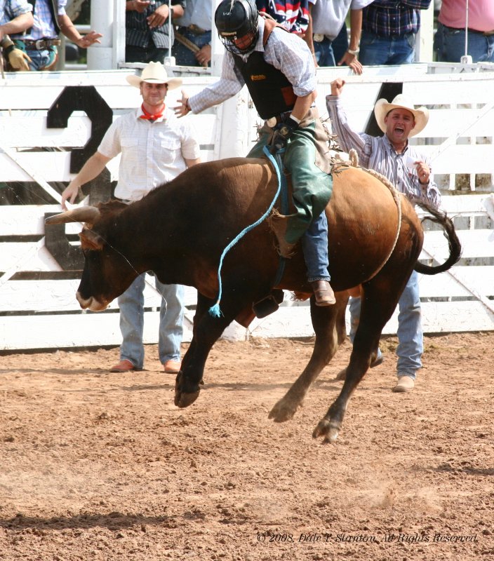 Bull Riding - IMG_4916.JPG