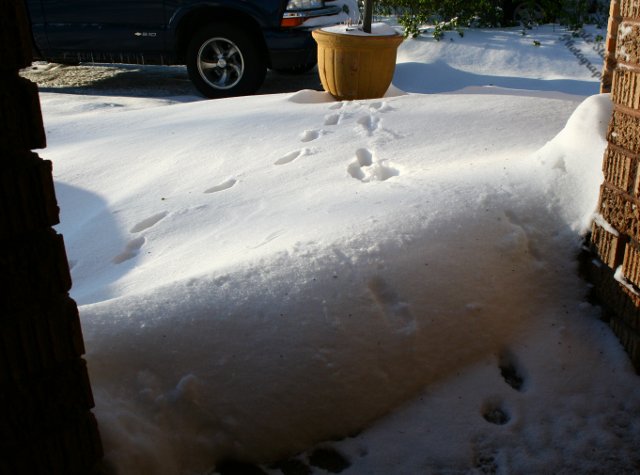 First Look - IMG_5120.JPG