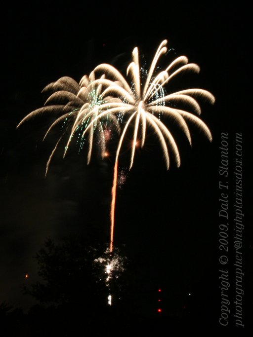 Fireworks - Palm Tree - IMG_0200.JPG