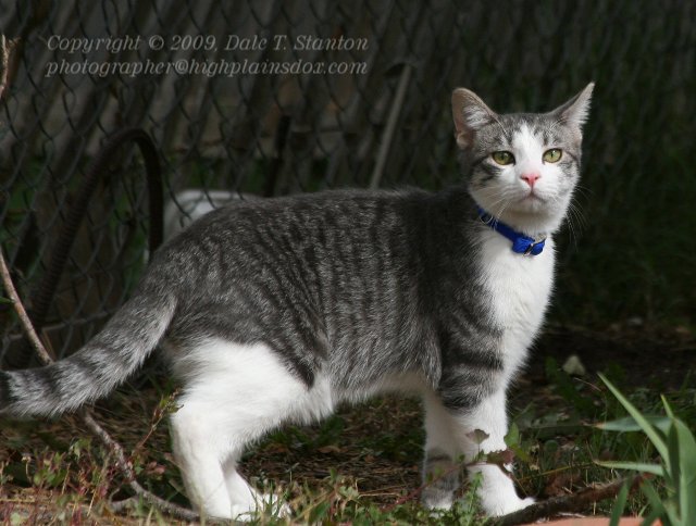 Buster - IMG_5995.JPG