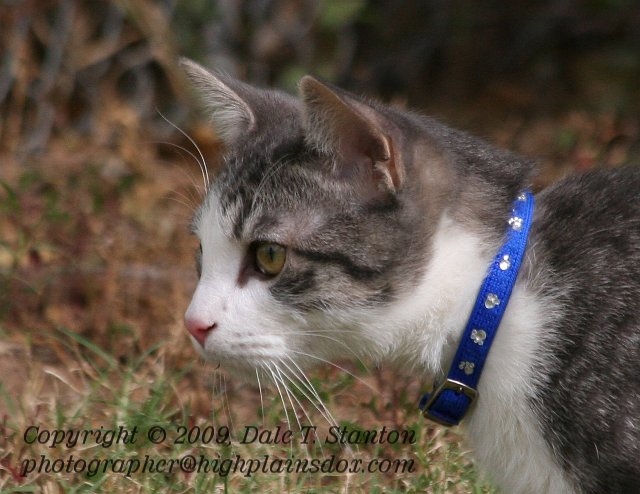 Buster - IMG_5992.JPG