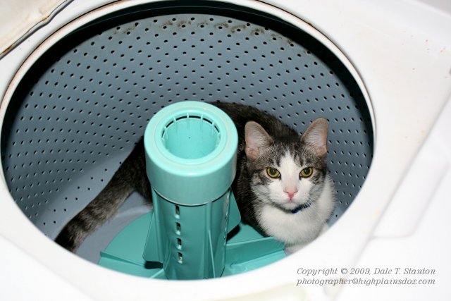 Bath Time - IMG_6490.JPG