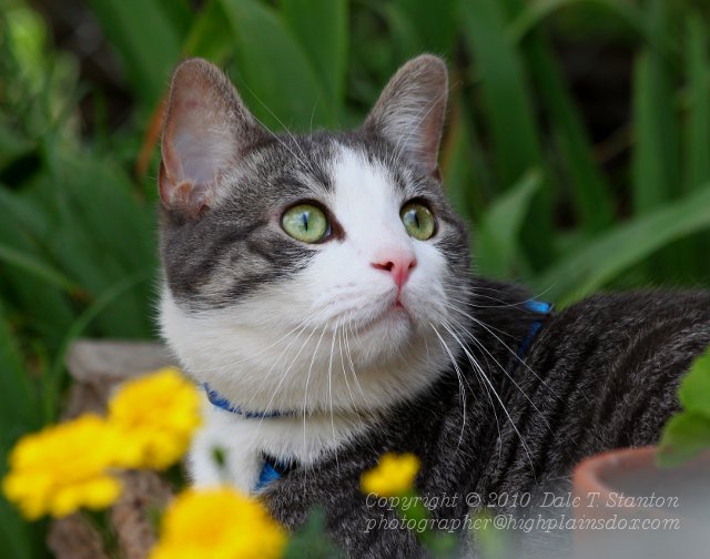 Buster - IMG_2965.JPG