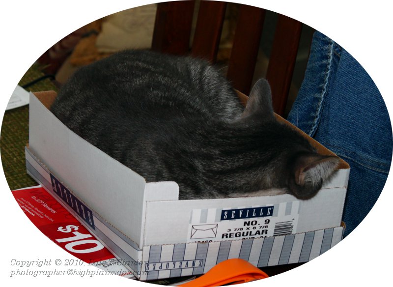 It Fits - IMG_8945.JPG