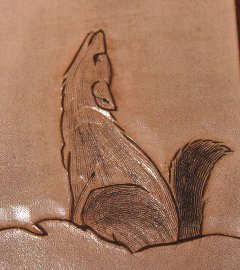 Coyote - IMG_0992.JPG