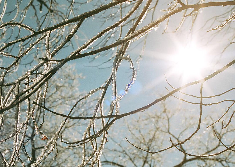 Thawing