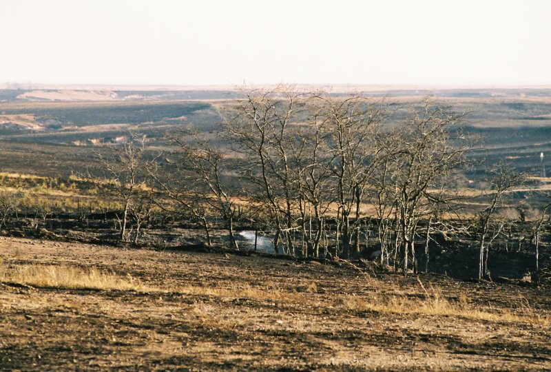 Panhandle Fires