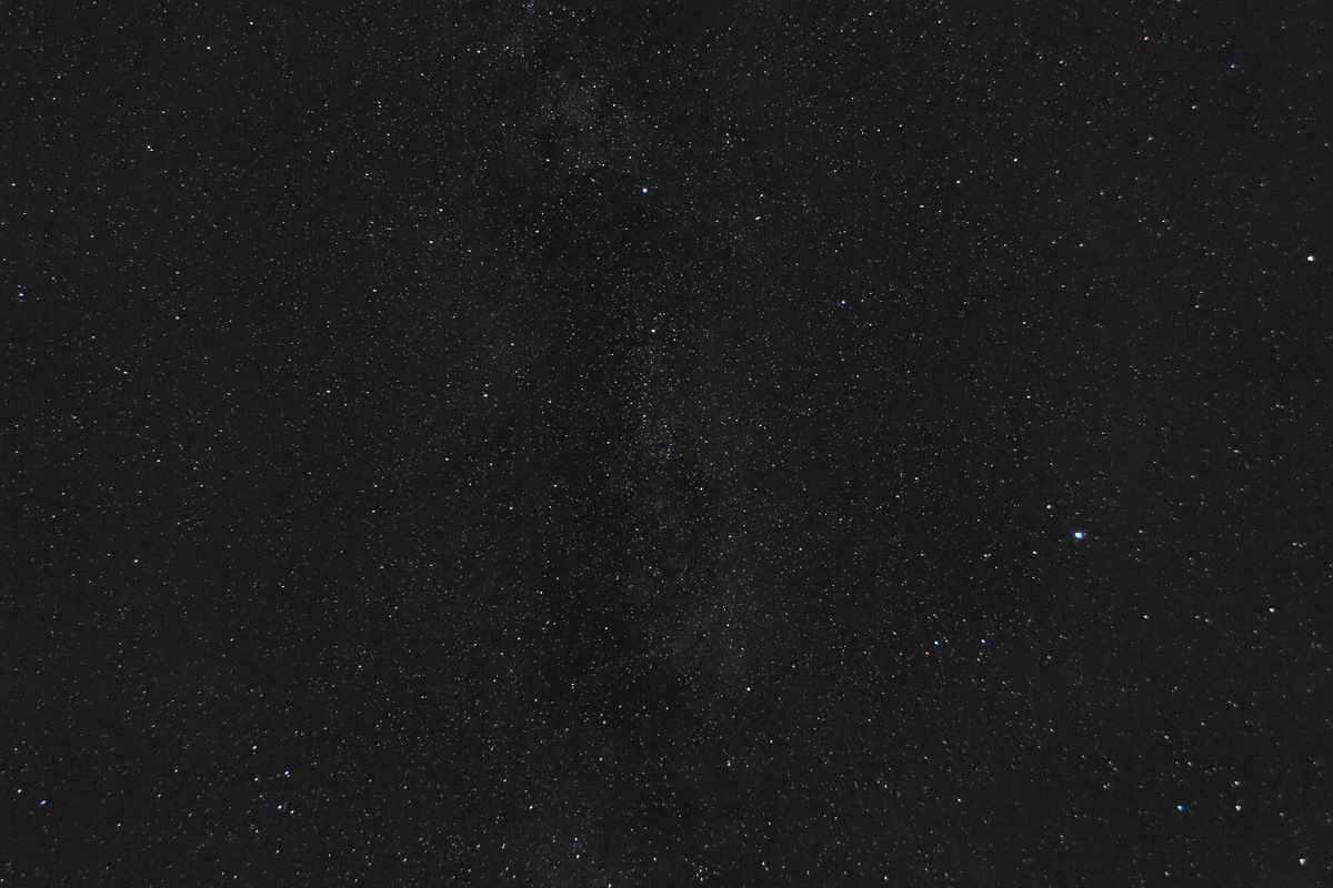 Cygnus