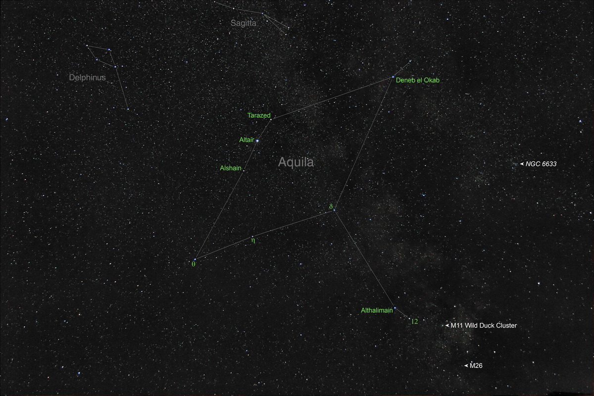 Aquila