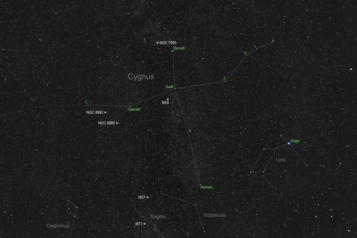Cygnus