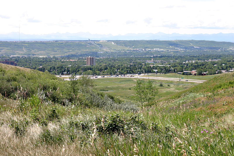 Prairie & city