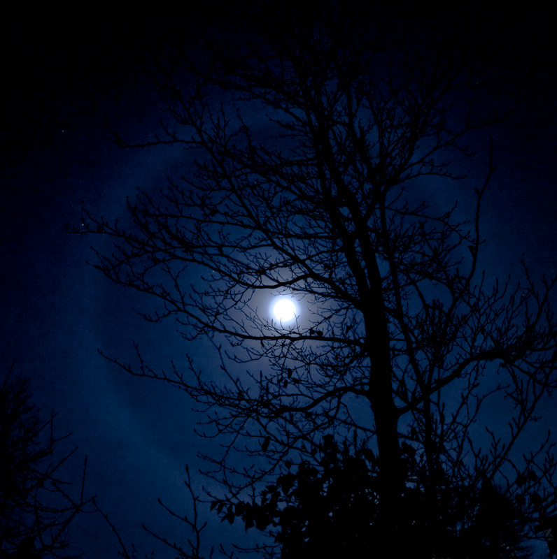 Moon ring