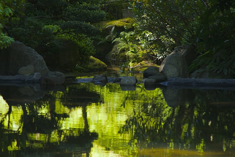 Pond Reflection 1