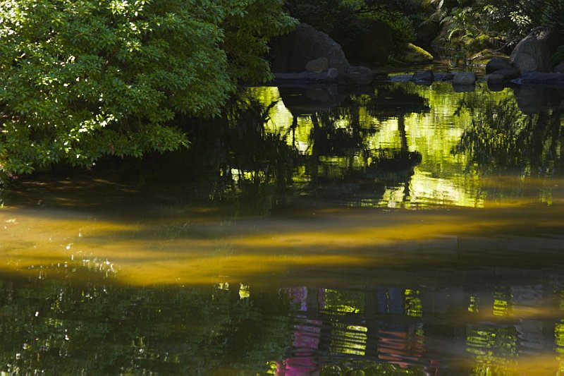 Pond Reflection 2