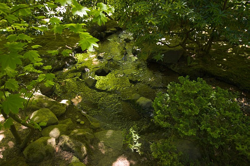 Creek