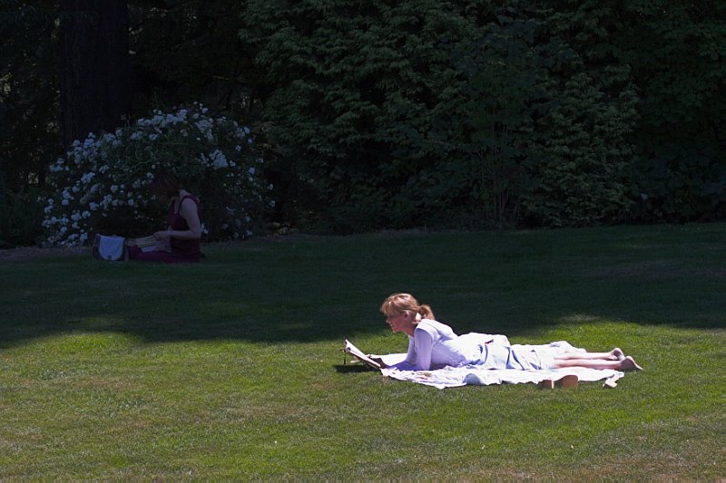 Reading
