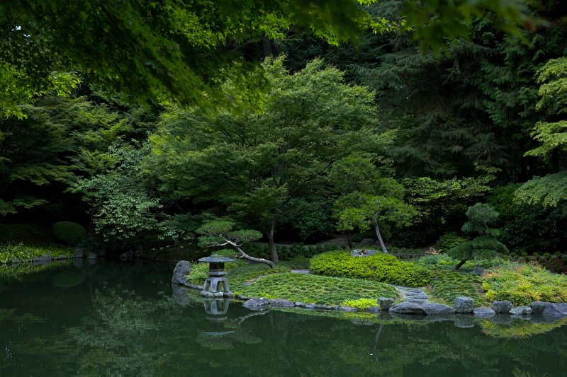Pond in Nitobe Garden