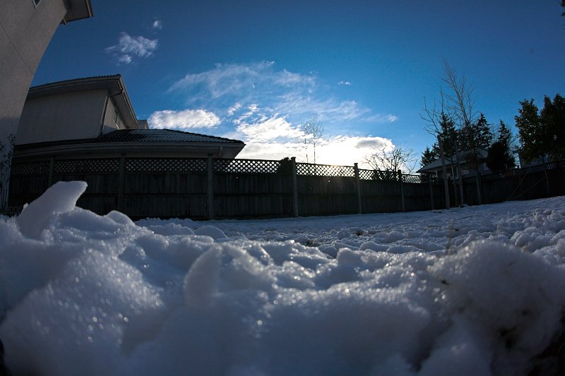 Our backyard snow scene