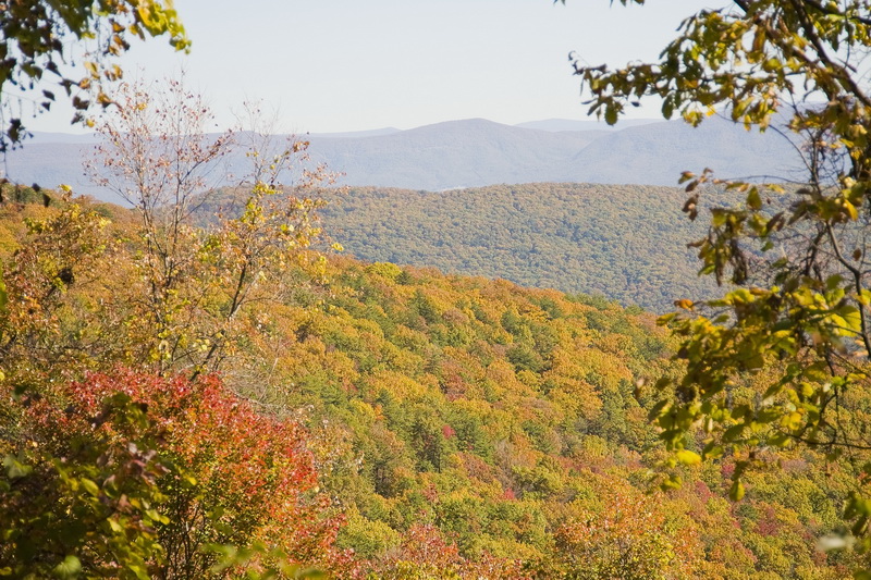 View from Devils Hole Mountain 