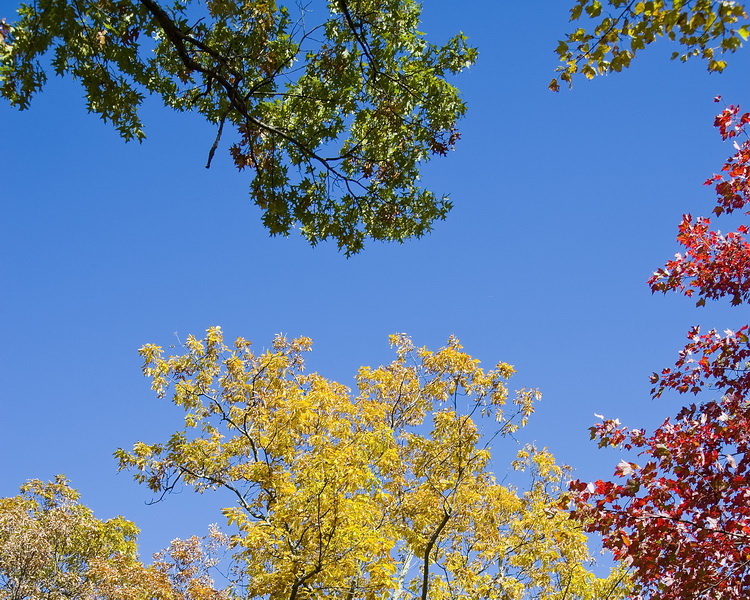 Colors Above
