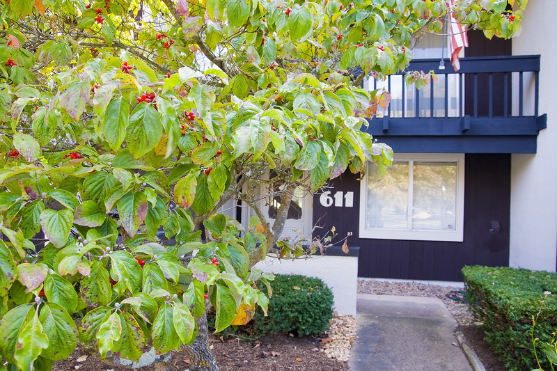 611 Stoney Court Townhouses, Bryce Resort, VA