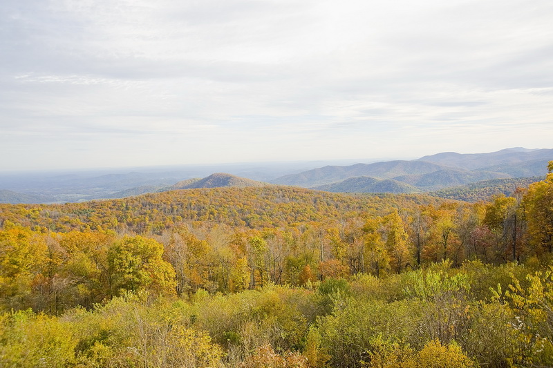 Skyline Drive, VA