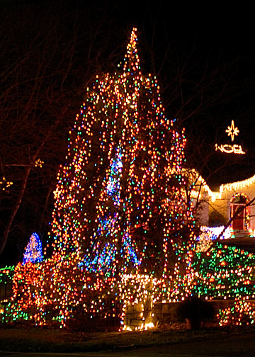 Collingwood Road Lights DSC_5631-Web5x7-Close-Up.jpg