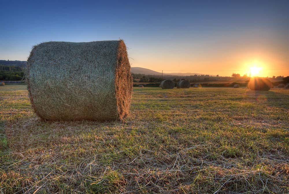 Moycullen