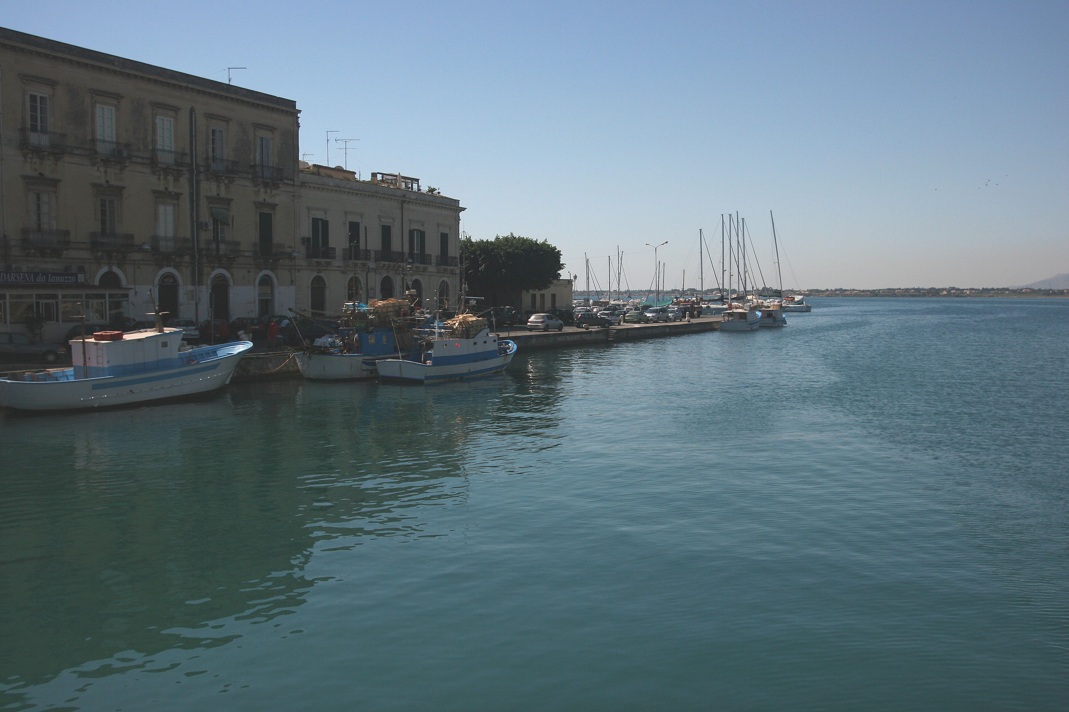 IMG_2895.JPG