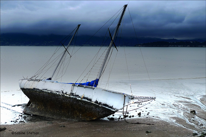 stranded .jpg