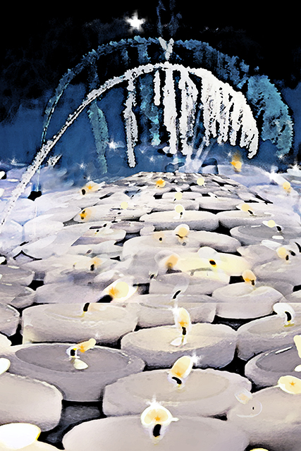  light .jpg
