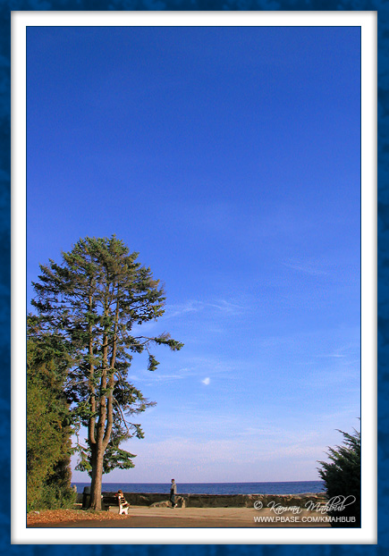 DSCN5316 b s.jpg