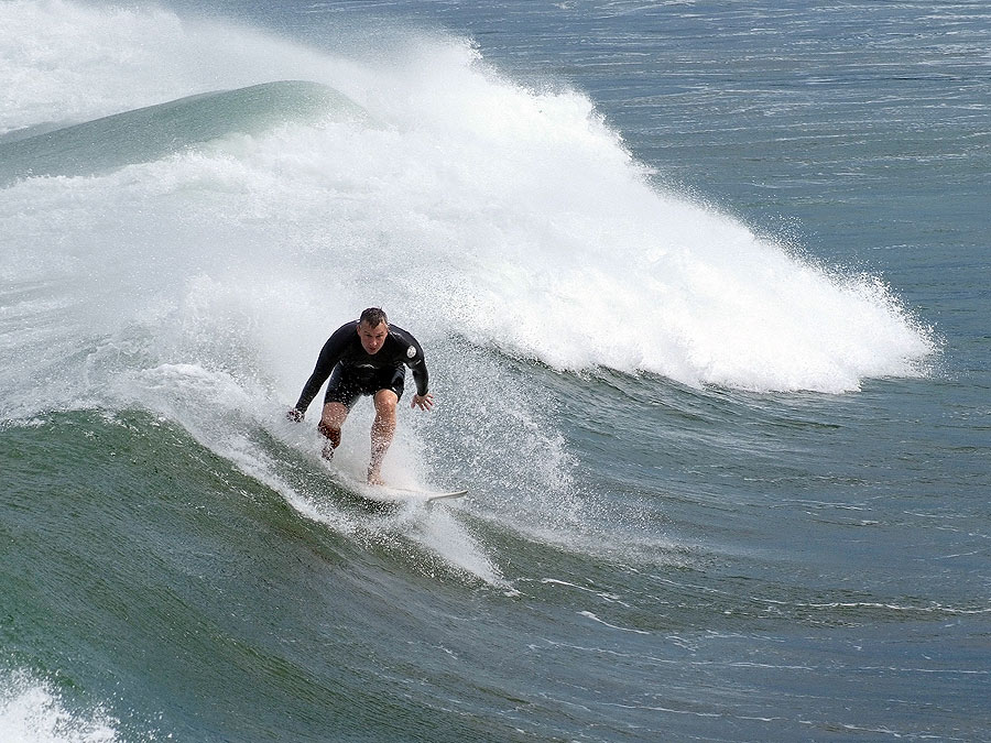 Lyall Bay