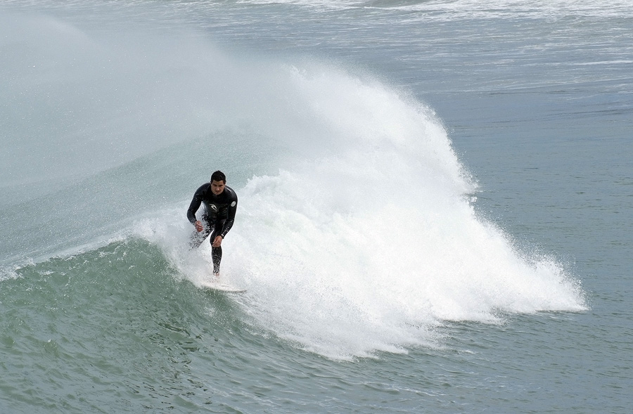 Lyall Bay