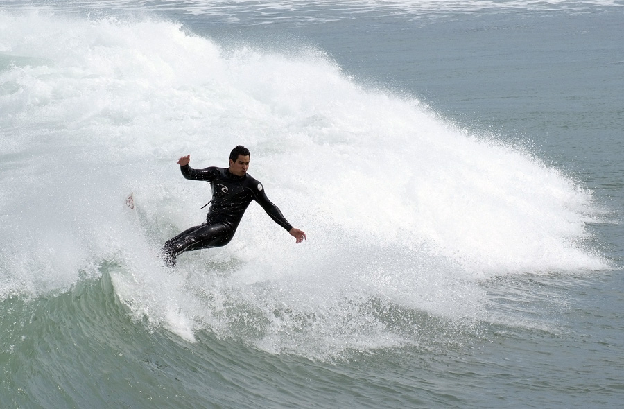 Lyall Bay