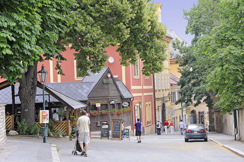 Kutna Hora township near St Barbara