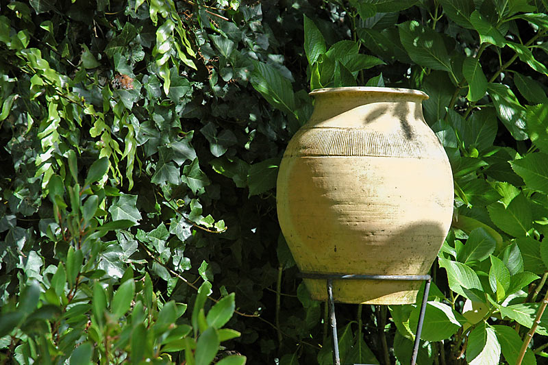 3 Feb 06 - A pot in our garden