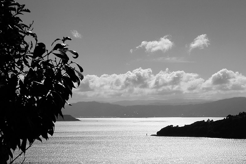 21 Feb 06 - The Harbour in Black and White