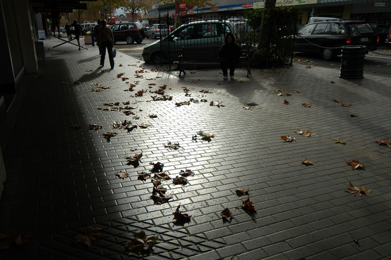 2 June 06 - Winter Leaves