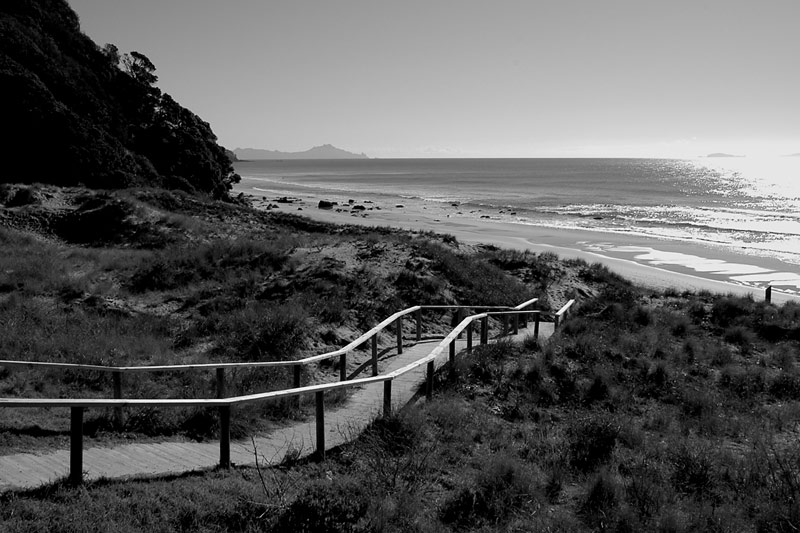 The path to the beach