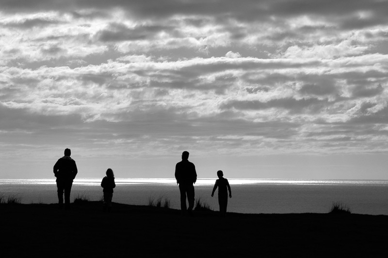 Watching the Ocean