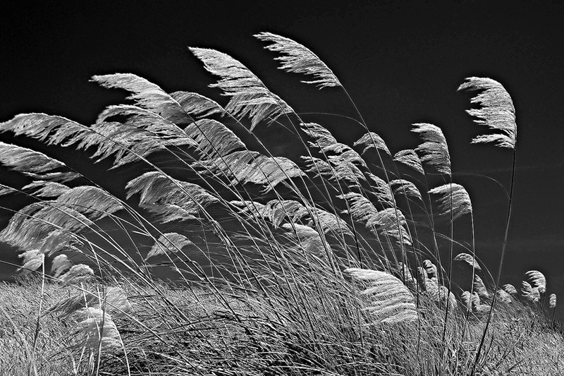 2a Jan 08 - When the north wind blows (II)