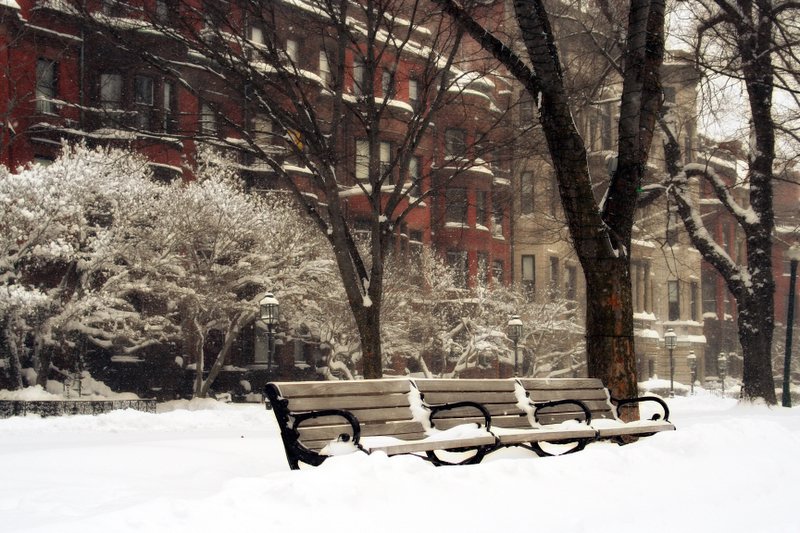 Commonwealth Avenue Mall in Winter