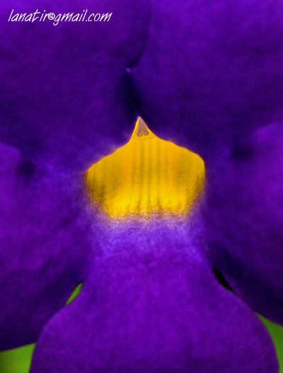 Botanical Gardens