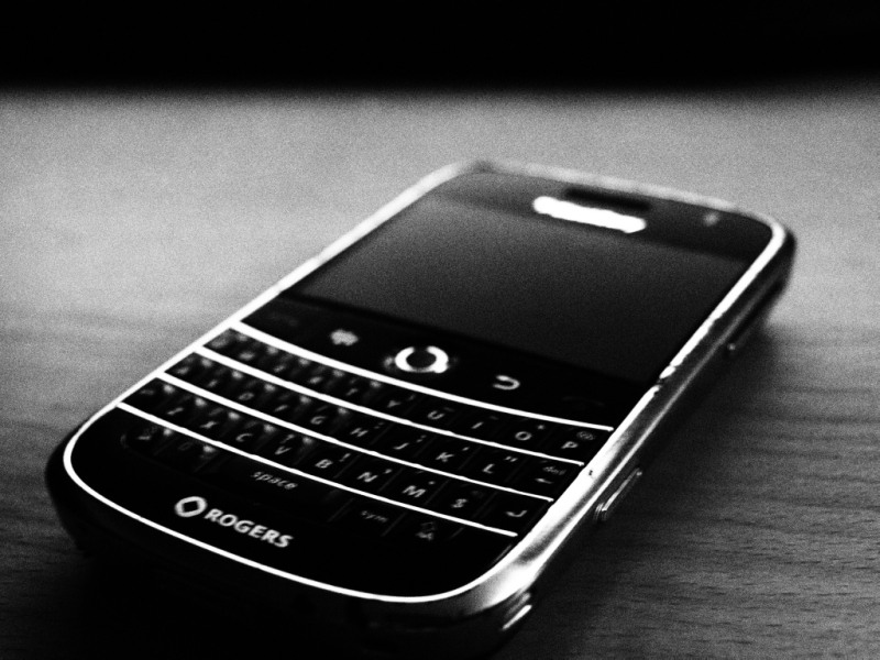 Lonely Blackberry<br><b>by focal point