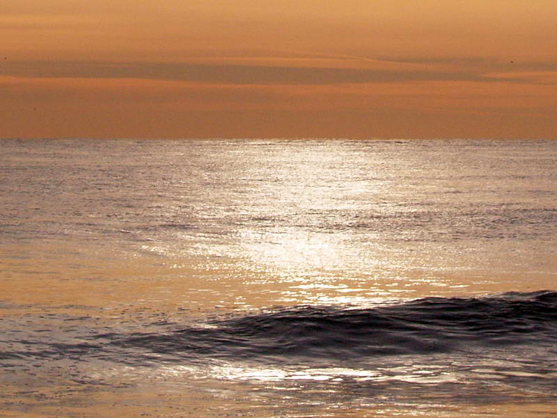 Jersey Morning<br>by Don Spencer